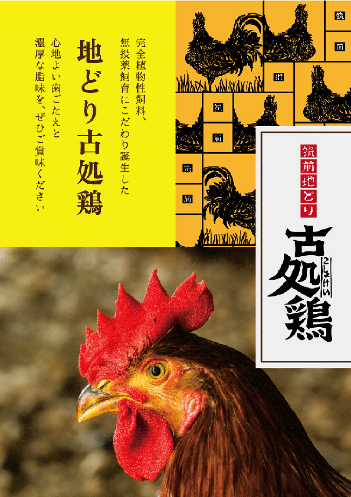 筑前地どり古処鶏のご紹介